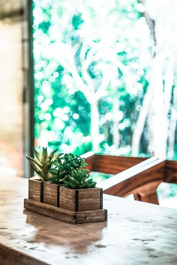 Eco-Chic Condo Halaken Tulum Apartment
